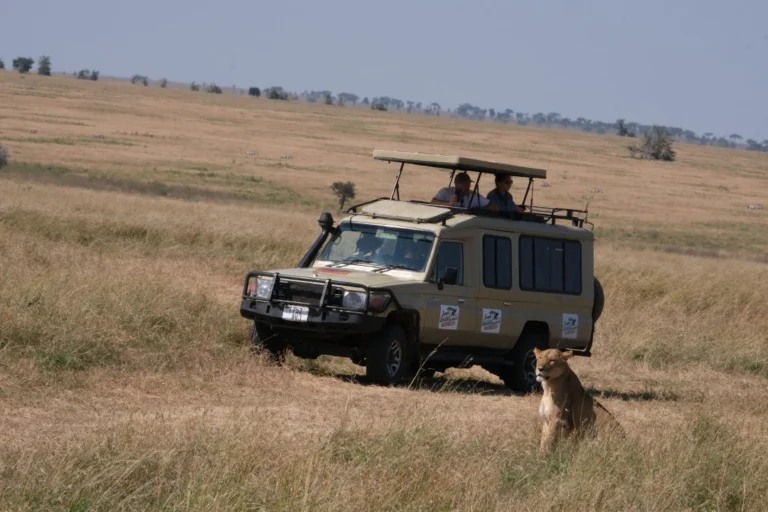 Serengeti National Park Review: You May Get Disappointed!