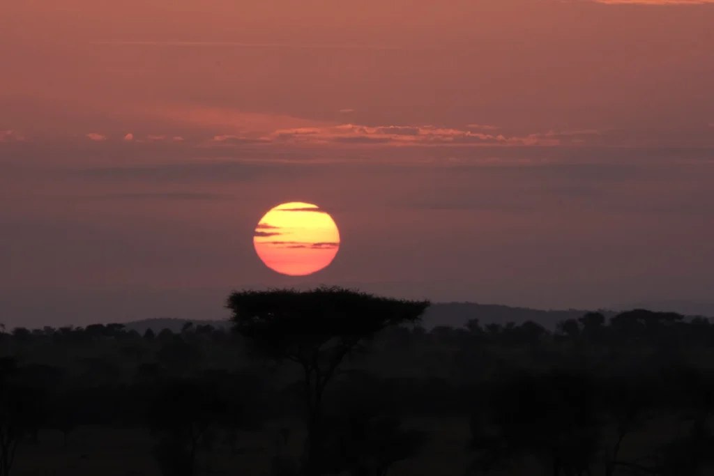 Sunrise Serengeti