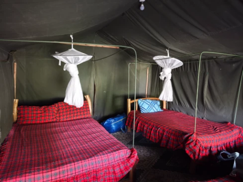 The beds in the camp