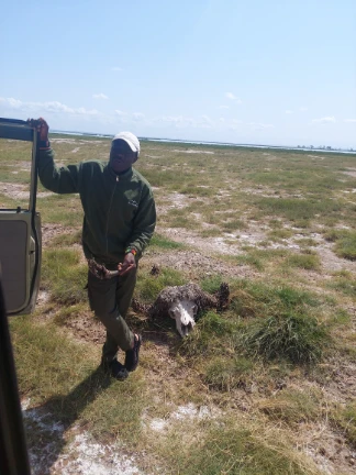The guide found a buffalo bone