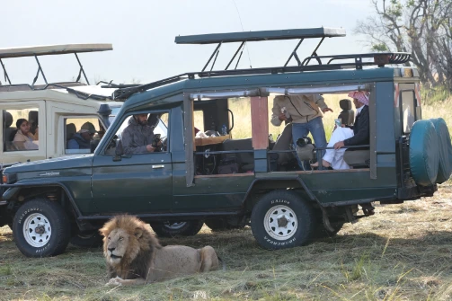 The lion could just sit nearbhy your car