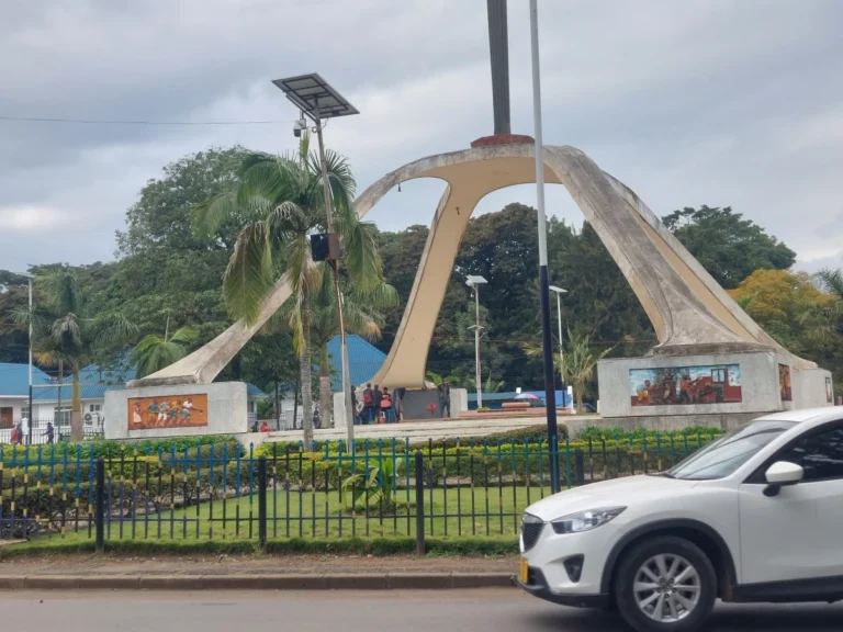 Arusha-Bolt-Review-Feature