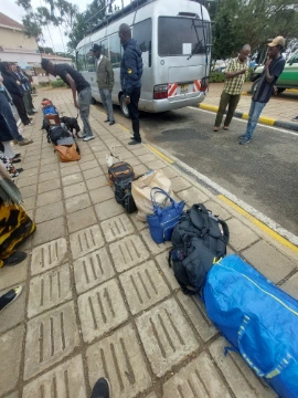 Dog inspecting the baggages