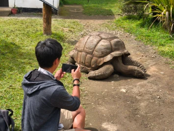 Taking photo of the 100+ year old tortoise