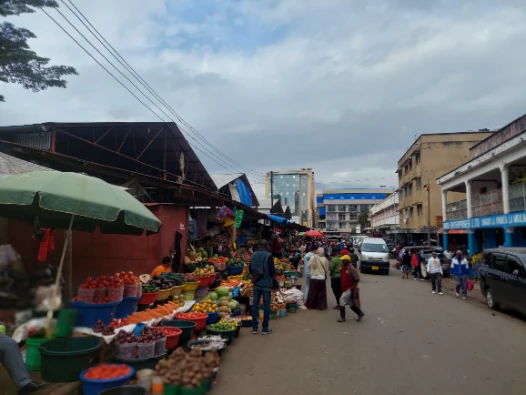 The Central Market of Arusha City