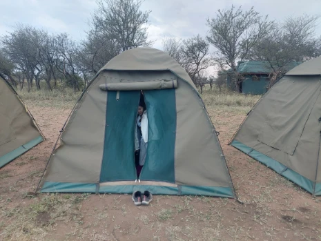 The tent in Tanzania safari