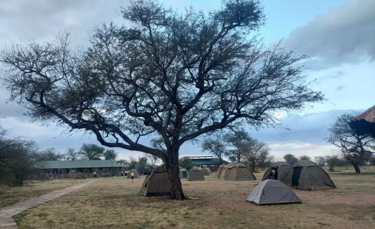 Tanzania-Safari-Accommodation-Feature-Page