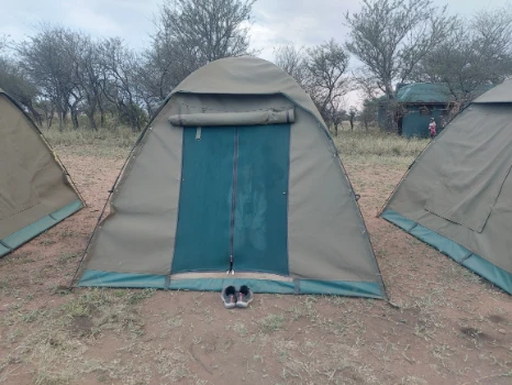 The tent is standard and set up by tour operator