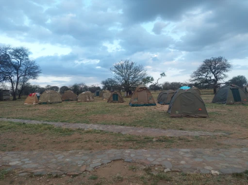 The tent sites Nyani Campsite