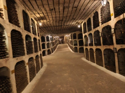 The winery storage Milestii Mici